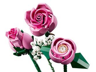 Конструктор Lego Botanicals Collection Букет рожевих троянд (10374) - фото 5 Конструктор Lego Botanicals Collection Букет рожевих троянд (10374) - фото 5