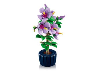 Конструктор Lego Botanicals Collection Гибискус (10372) - фото 3