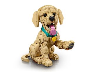 Конструктор Lego Expert Цуценя золотистого ретрівера (11384) - фото 2 Конструктор Lego Expert Цуценя золотистого ретрівера (11384) - фото 2