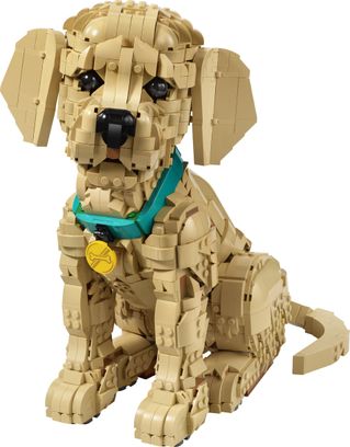 Конструктор Lego Expert Цуценя золотистого ретрівера (11384) - фото 3 Конструктор Lego Expert Цуценя золотистого ретрівера (11384) - фото 3