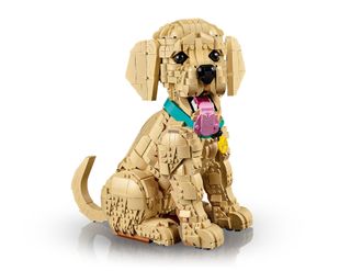 Конструктор Lego Expert Цуценя золотистого ретрівера (11384) - фото 4 Конструктор Lego Expert Цуценя золотистого ретрівера (11384) - фото 4