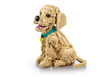 Конструктор Lego Expert Цуценя золотистого ретрівера (11384) - фото 5 Конструктор Lego Expert Цуценя золотистого ретрівера (11384) - фото 5