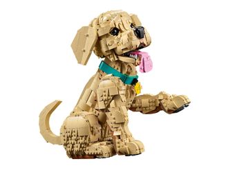 Конструктор Lego Expert Цуценя золотистого ретрівера (11384) - фото 6 Конструктор Lego Expert Цуценя золотистого ретрівера (11384) - фото 6
