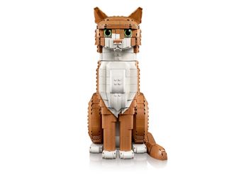 Конструктор Lego Ideas Рыжая кошка (21376) - фото 4 Конструктор Lego Ideas Рыжая кошка (21376) - фото 4