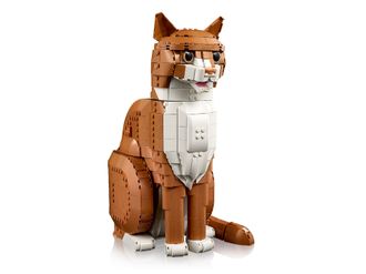 Конструктор Lego Ideas Рыжая кошка (21376) - фото 5 Конструктор Lego Ideas Рыжая кошка (21376) - фото 5