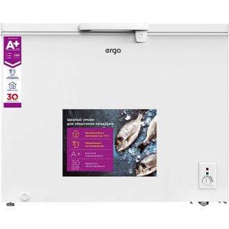 Морозильный ларь Ergo BD-300 RF - фото 1