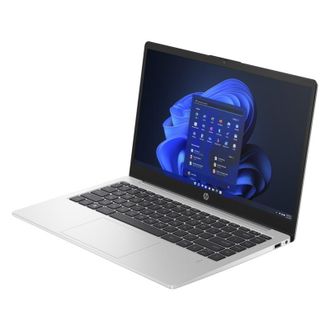 Ноутбук HP 245 G10 (A3DU5ES) Turbo Silver - фото 2