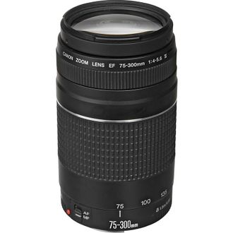Об'єктив Canon EF 75-300mm f/4.0-5.6 III (6473A015) - фото 1
