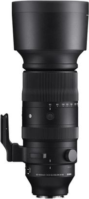 Об'єктив Sigma AF 60-600mm f/4.5-6.3 DG DN OS Sports Sony-E (S023) - фото 1 Об'єктив Sigma AF 60-600mm f/4.5-6.3 DG DN OS Sports Sony-E (S023) - фото 1