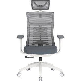 Офисное кресло OfficePro Balance OC550-W-DG-DG White/Dark Gray - фото 1 Офисное кресло OfficePro Balance OC550-W-DG-DG White/Dark Gray - фото 1