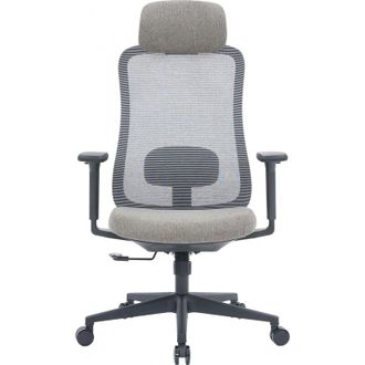 Офісне крісло OfficePro Wave OC599-B-DG-DG Black/Dark Gray - фото 1 Офісне крісло OfficePro Wave OC599-B-DG-DG Black/Dark Gray - фото 1
