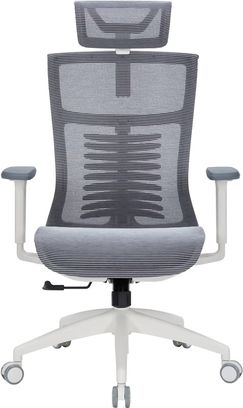 Офісне крісло OfficePro Balance OC620-W-DG-DG - фото 1 Офісне крісло OfficePro Balance OC620-W-DG-DG - фото 1