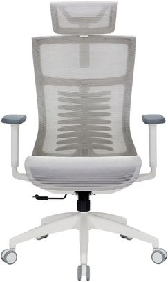 Офісне крісло OfficePro Balance OC620-W-LG-LG - фото 1