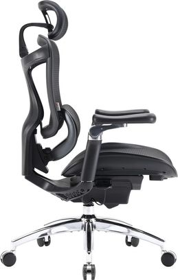 Офісне крісло Sihoo DORO C300 Pro Mesh Black (DORO-C300-PRO-M101) - фото 3
