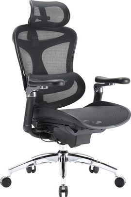 Офісне крісло Sihoo DORO C300 Pro Mesh Black (DORO-C300-PRO-M101) - фото 4