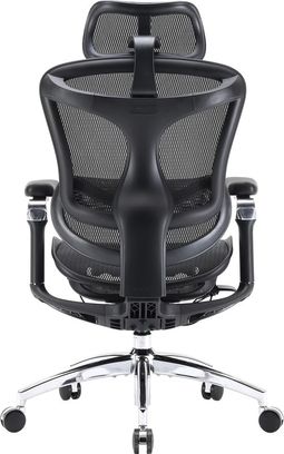 Офісне крісло Sihoo DORO C300 Pro Mesh Black (DORO-C300-PRO-M101) - фото 5
