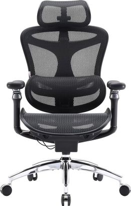 Офісне крісло Sihoo DORO C300 Pro Mesh Black (DORO-C300-PRO-M101) - фото 1