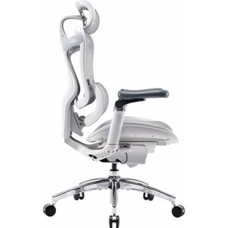 Офісне крісло Sihoo DORO C300 Pro Mesh White (DORO-C300-PRO-M102) - фото 4