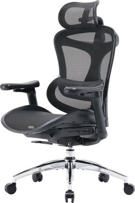 Офісне крісло Sihoo DORO C300L Mesh Black (DORO-C300L-A3-101) - фото 3