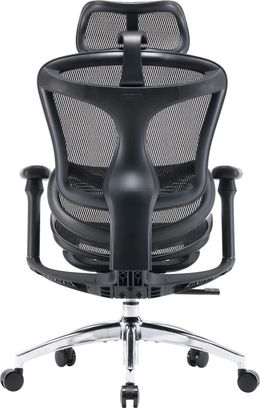 Офісне крісло Sihoo DORO C300L Mesh Black (DORO-C300L-A3-101) - фото 4