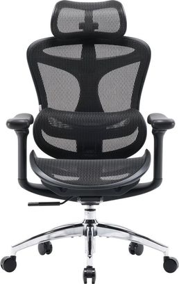 Офісне крісло Sihoo DORO C300L Mesh Black (DORO-C300L-A3-101) - фото 1