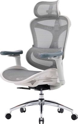 Офісне крісло Sihoo DORO C300L Mesh White (DORO-C300L-A3-102) - фото 2
