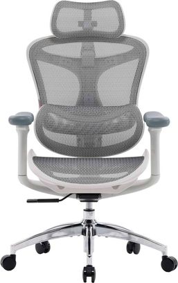 Офісне крісло Sihoo DORO C300L Mesh White (DORO-C300L-A3-102) - фото 1