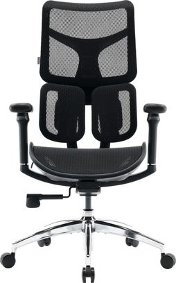 Офісне крісло Sihoo DORO S100 Mesh Black (S100-M301) - фото 1