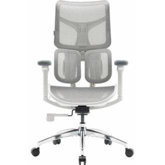 Офісне крісло Sihoo DORO S100 Mesh White (S100-M302) - фото 1