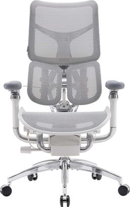 Офісне крісло Sihoo DORO S300 Mesh Light Grey (S300-M202) - фото 1