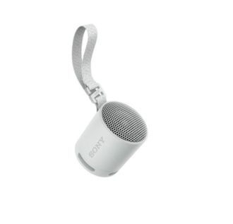 Портативная колонка Sony SRS-XB100 Серый (SRSXB100H.CE7) - фото 2 Портативная колонка Sony SRS-XB100 Серый (SRSXB100H.CE7) - фото 2