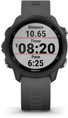 Спортивные часы Garmin Forerunner 245 Slate Gray (010-02120-00) - фото 1