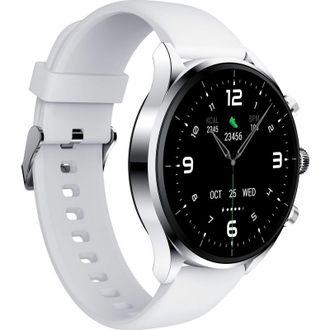 Смарт-часы Black Shark S1 Classic Silver (UA) - фото 2