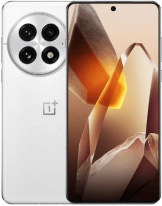 Смартфон OnePlus 13 12/256GB Arctic Dawn (with adapter) (Global Version) INDIA (no eSIM) - фото 1