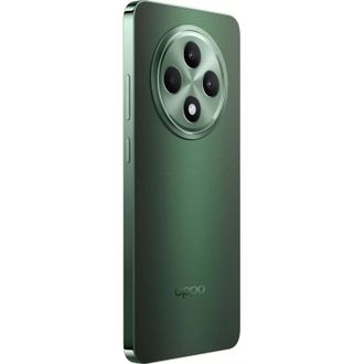 Смартфон OPPO Reno12 FS 5G 12/512GB Black Green (No Adapter) (UA) - фото 2