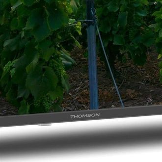 Телевізор Thomson 50QA2S13 - фото 4 Телевізор Thomson 50QA2S13 - фото 4
