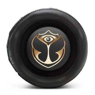 Портативная колонка JBL Flip 7 Tomorrowland (JBLFLIP7TML) - фото 9 Портативная колонка JBL Flip 7 Tomorrowland (JBLFLIP7TML) - фото 9