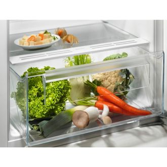 Вбудований холодильник Electrolux LFB3AE12S Europe - фото 3 Вбудований холодильник Electrolux LFB3AE12S Europe - фото 3