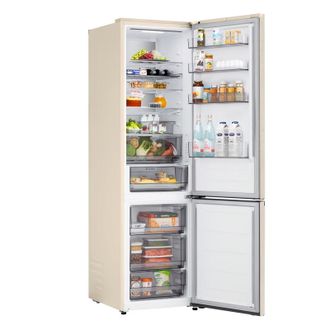 Холодильник LG GC-B509EESM - фото 3 Холодильник LG GC-B509EESM - фото 3