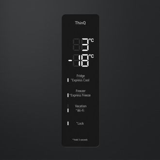 Холодильник LG GW-B509FXUW - фото 4