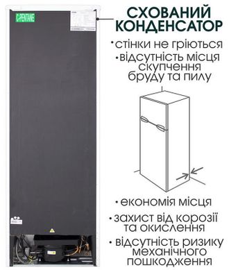 Холодильник PRIME Technics RTS 1603 M - фото 10 Холодильник PRIME Technics RTS 1603 M - фото 10