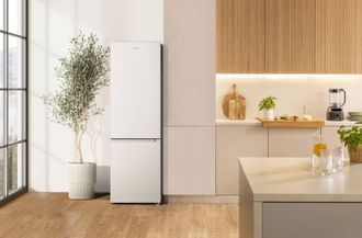 Холодильник Gorenje RK418DPW4I - фото 4