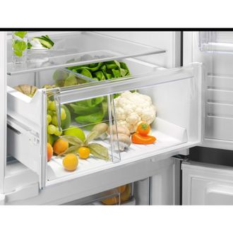 Вбудований холодильник Electrolux RNT6TE19S Europe - фото 6