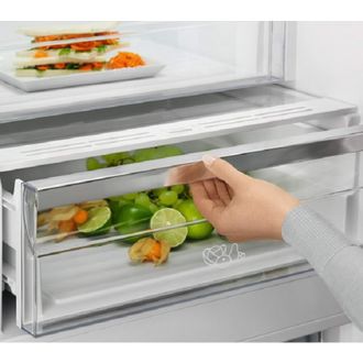Холодильник Electrolux RNT7ME34K1 - фото 6 Холодильник Electrolux RNT7ME34K1 - фото 6
