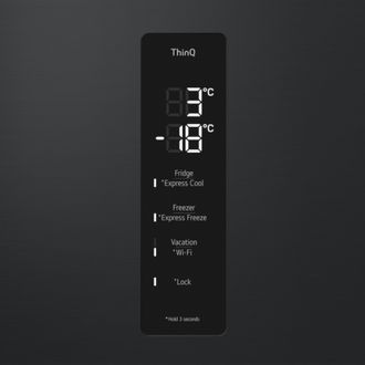 Холодильник LG GC-B509FTZW - фото 5 Холодильник LG GC-B509FTZW - фото 5