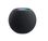 Колонка Apple HomePod Mini Space Grey (MY5G2)