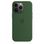 Чехол Apple silicone Case iphone 13 Pro Clover