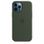 Чохол silicone Case iPhone 12 Pro Max Cyprus Green