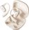 Навушники Shokz Openfit 2 Beige
