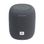Портативная колонка JBL Link Music Grey (JBLLINKMUSICGRYEU)
